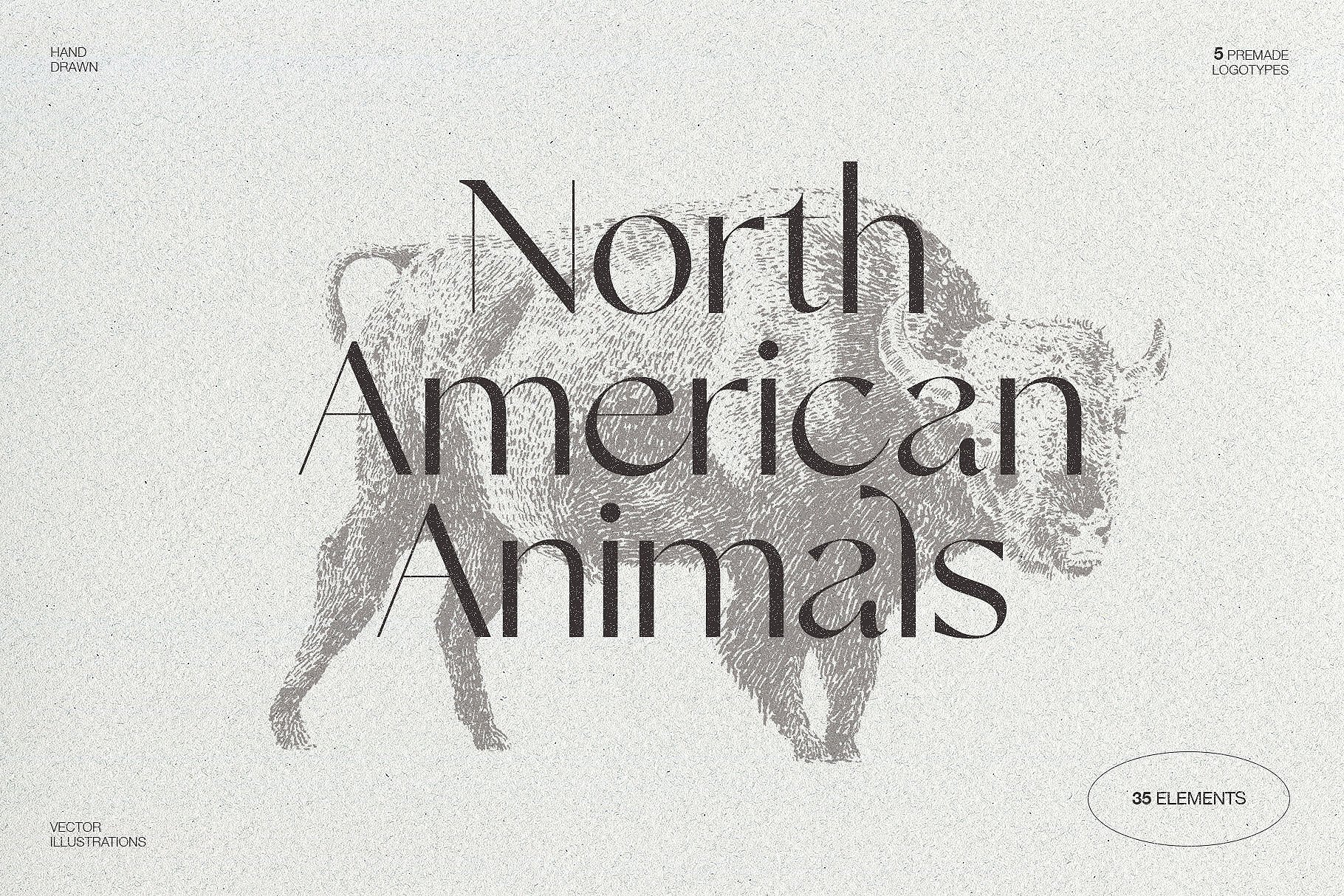 Sketches of animals of North America cover image.
