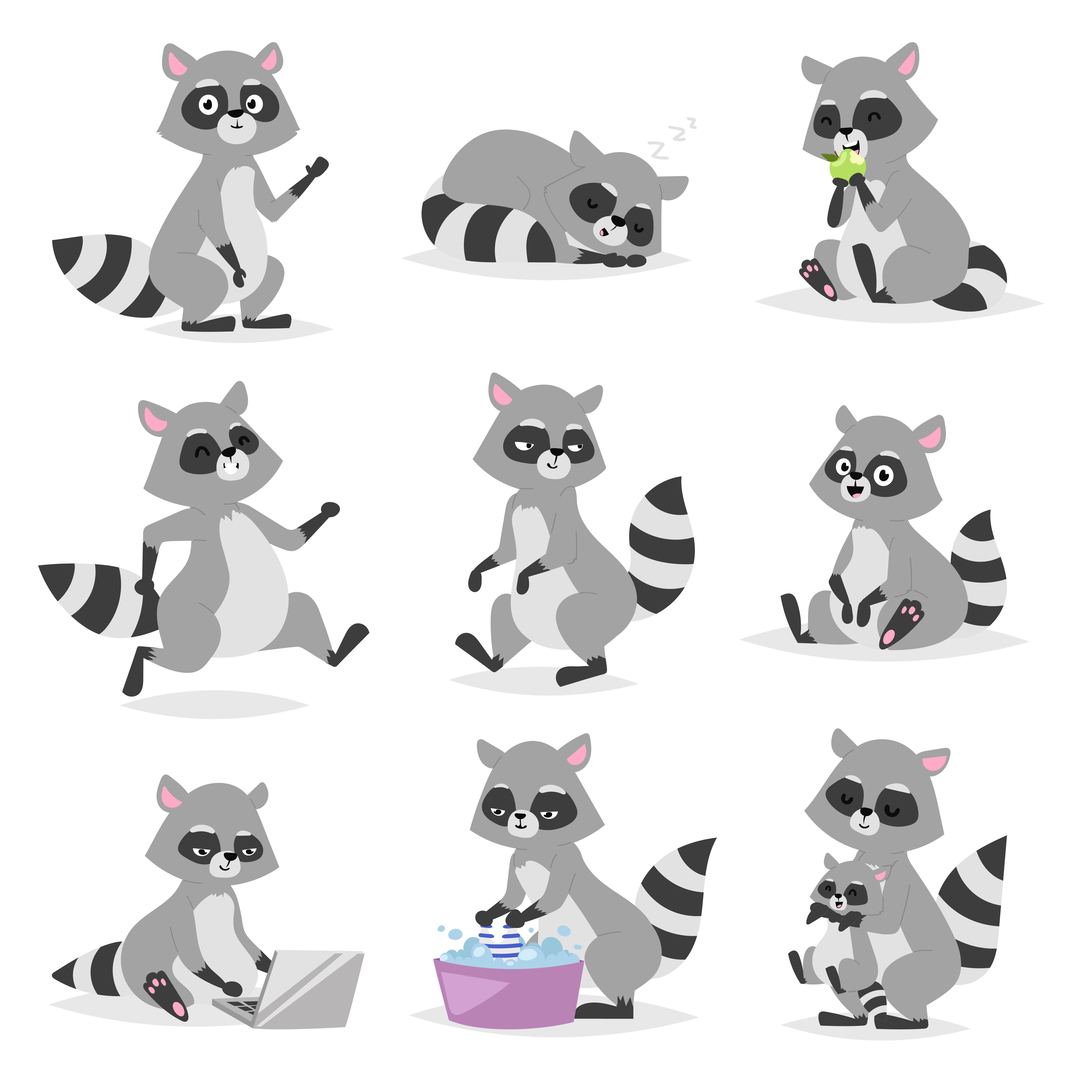 Cartoon raccoon vector cover image.