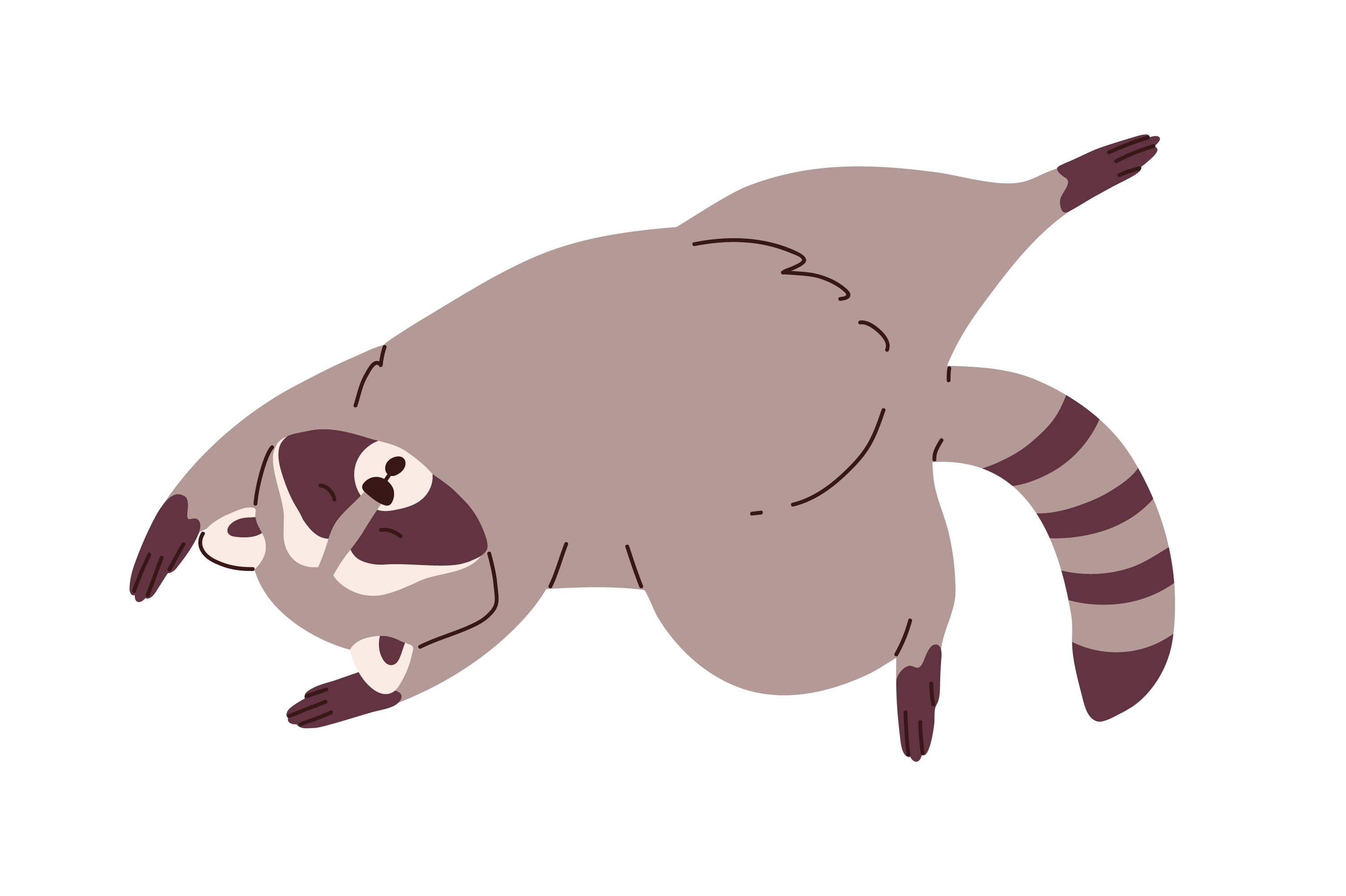 Cute funny cartoon raccoons set preview image.