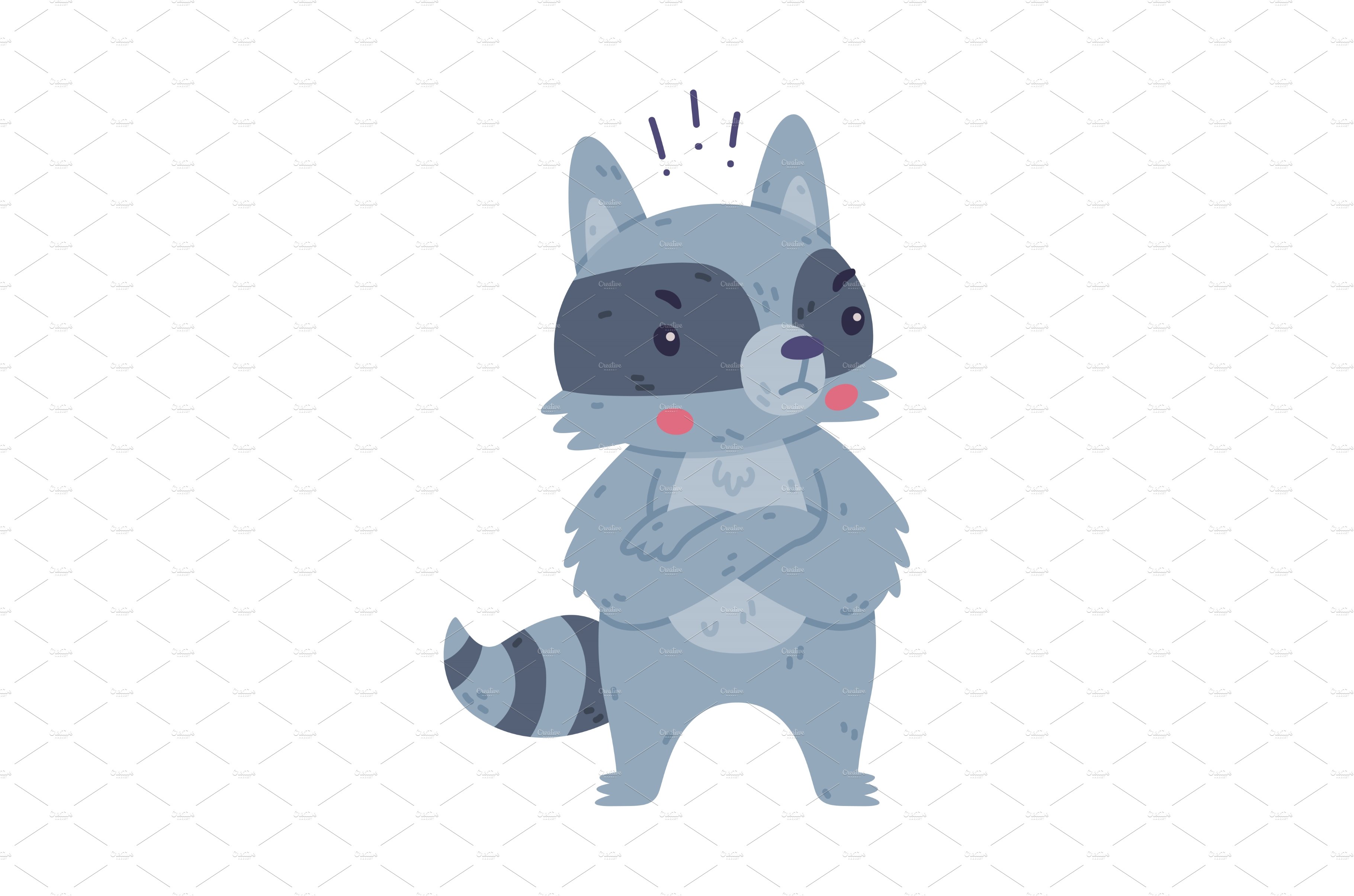 Funny Raccoon Animal Character with cover image.