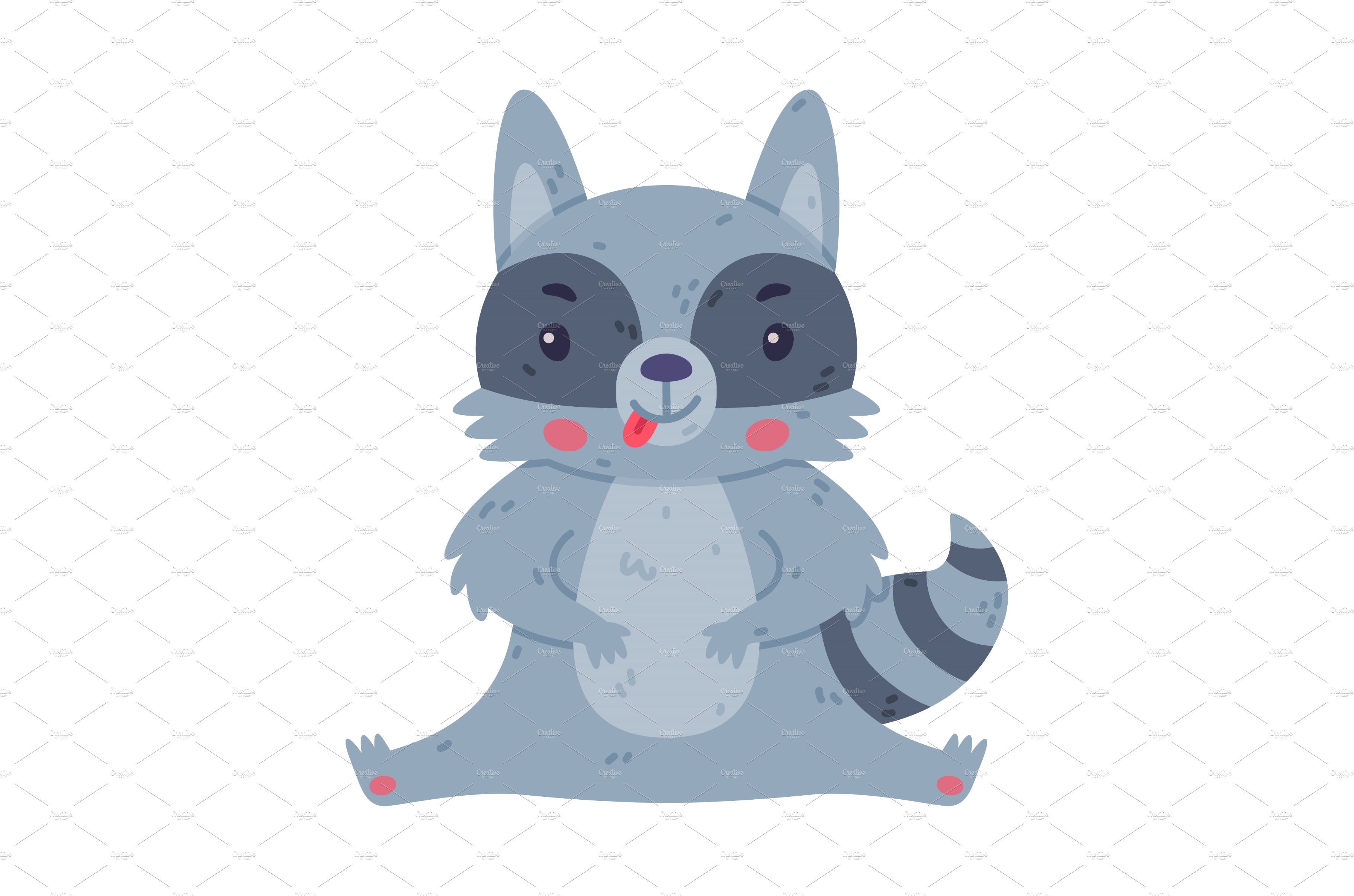 Funny Raccoon Animal Character with cover image.