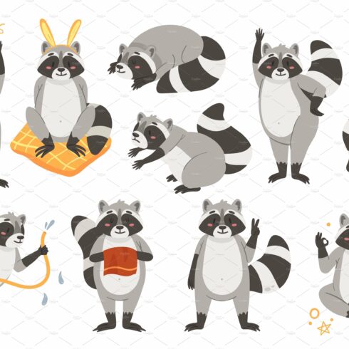 Raccoon cute animal set cover image.