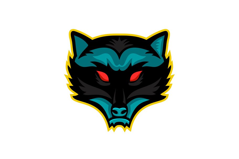 North American Raccoon Mascot cover image.