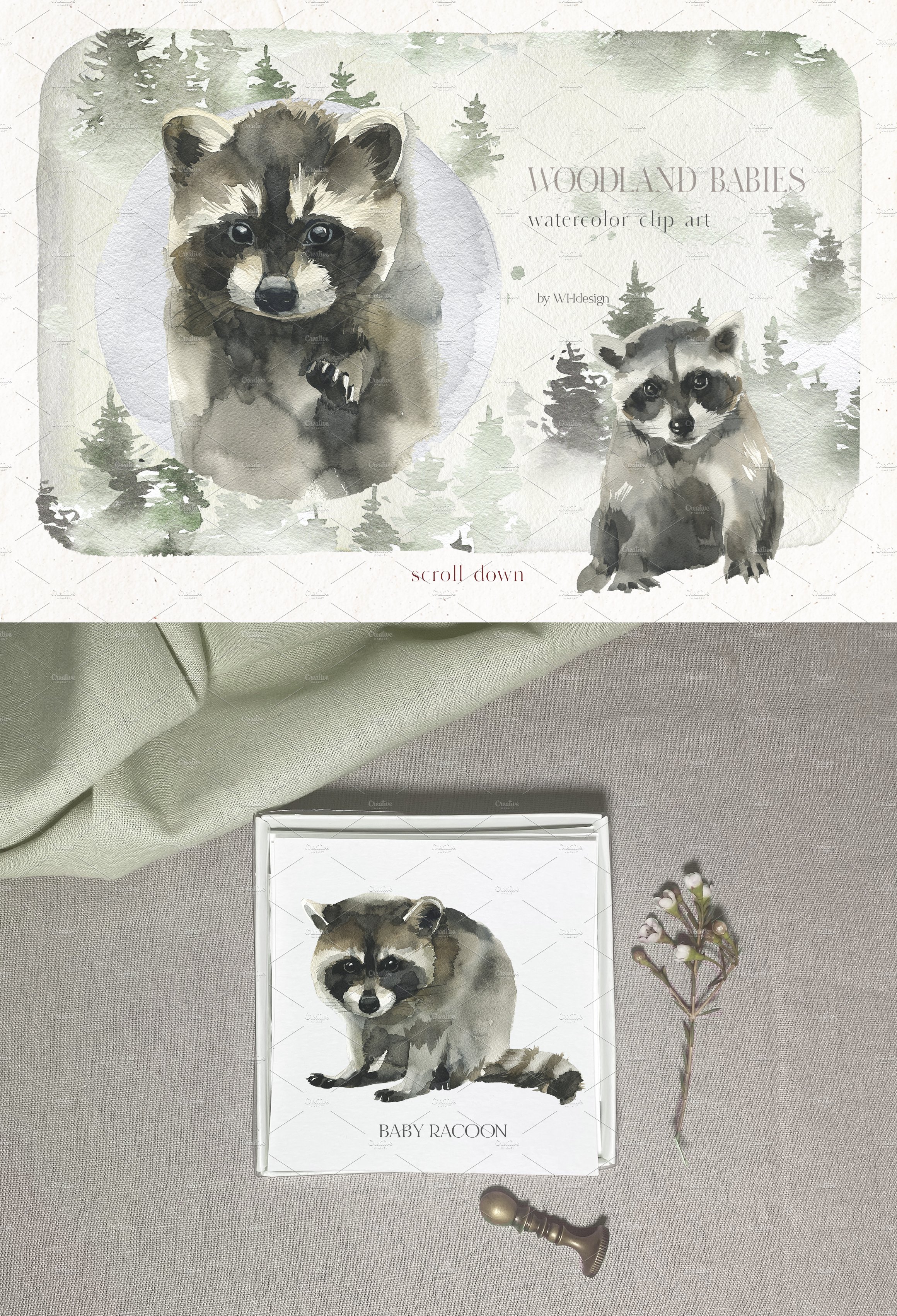 racoon baby watercolor clipart 1 295
