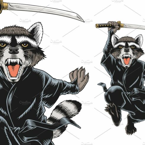 Raccoon ninja attacks cover image.