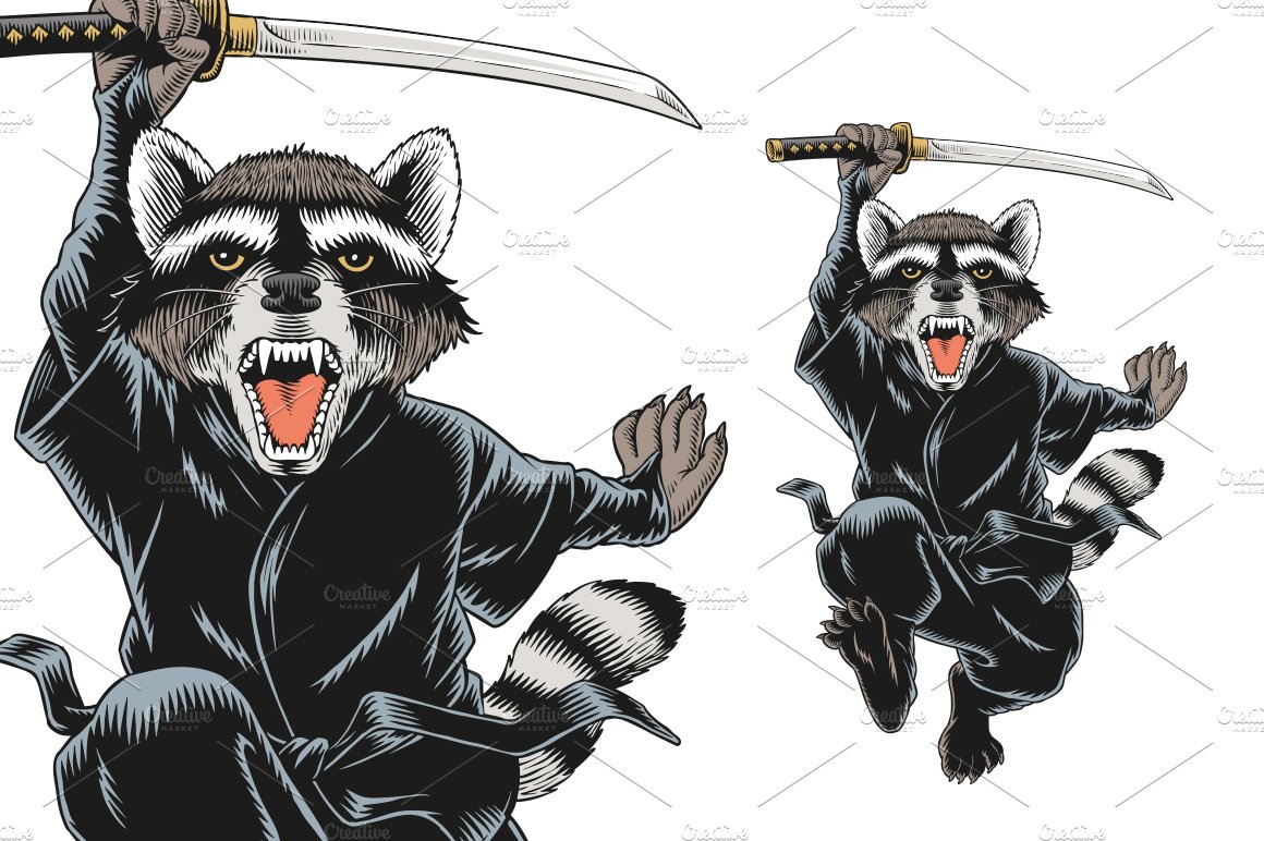 Raccoon ninja attacks cover image.