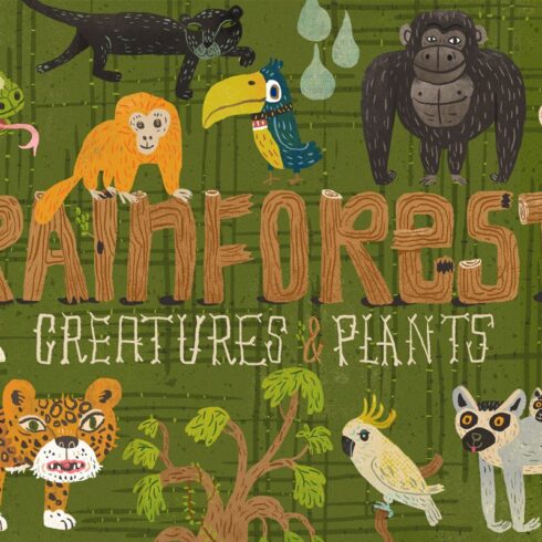 21 Rainforest Creatures & Plants cover image.