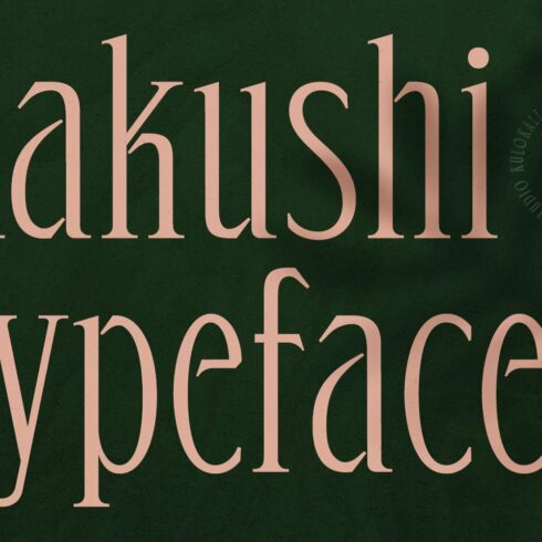 Rakushi Display Serif Font cover image.