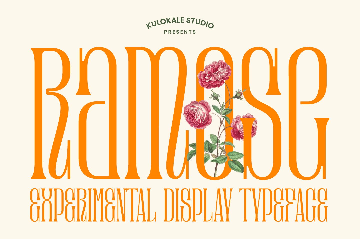 Ramose Serif Display Font cover image.