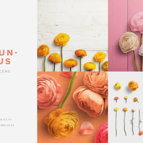 Ranunculus Flower Scene Creator cover image.