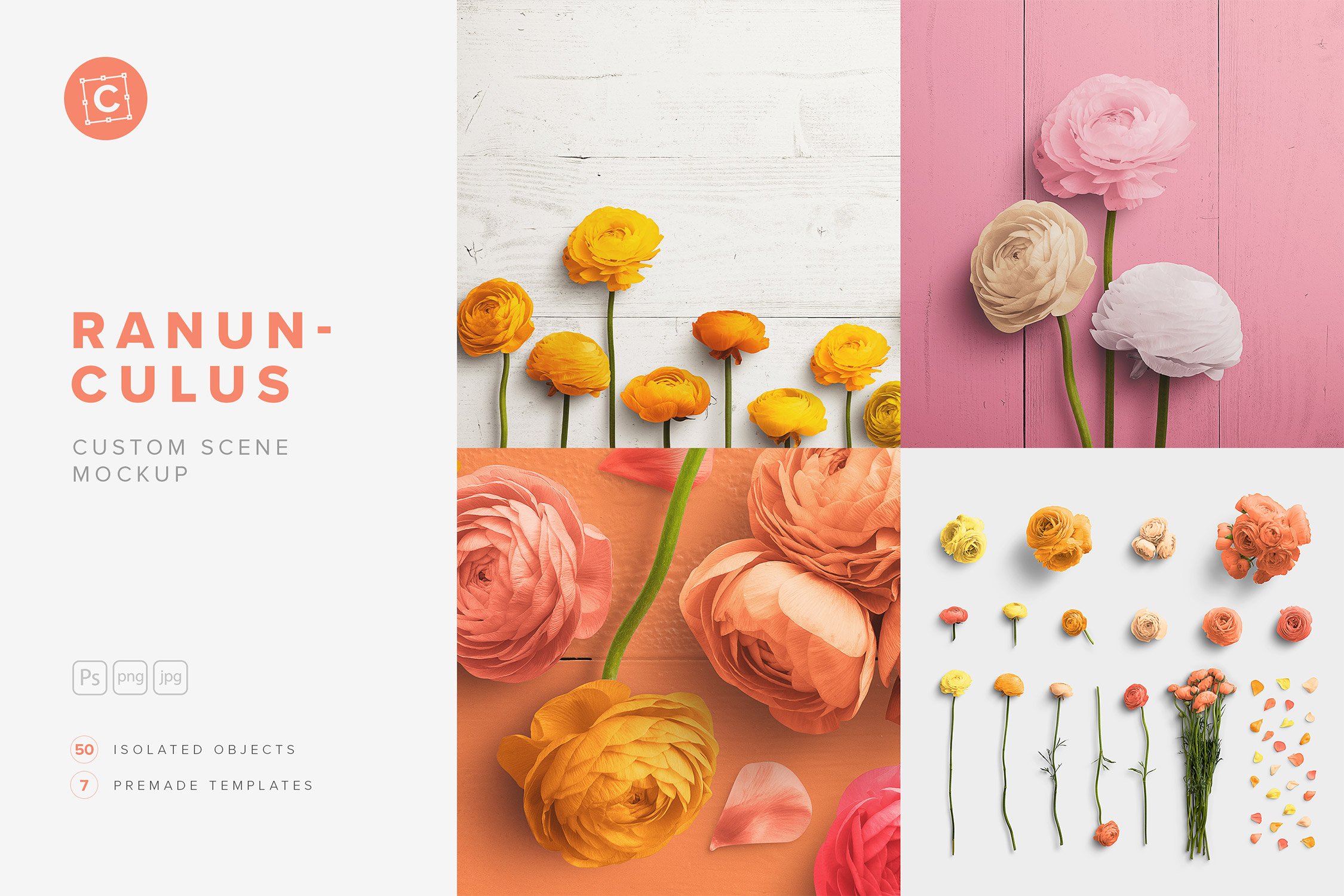 Ranunculus Flower Scene Creator cover image.