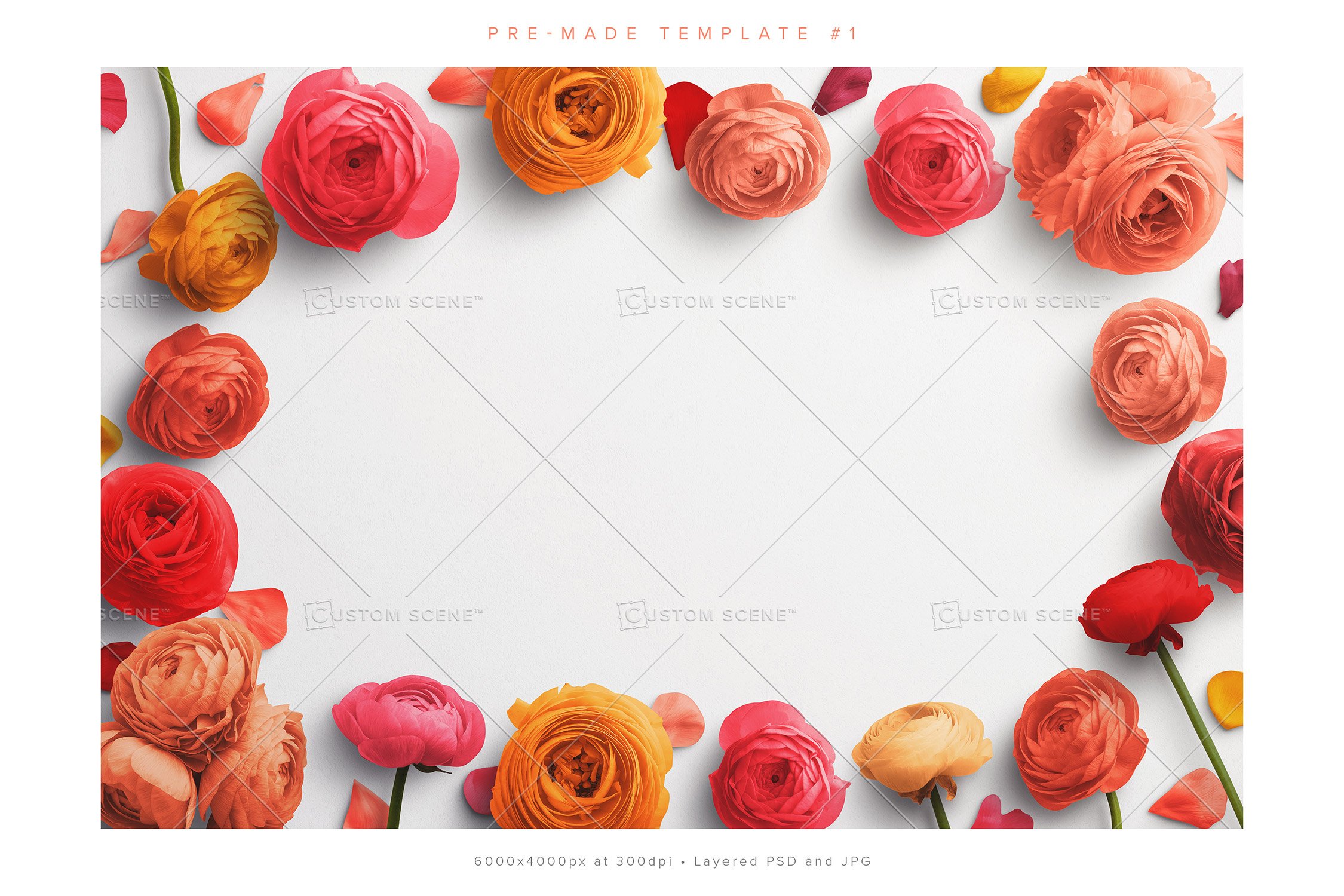 ranunculus scene creator customscene preview 1 544