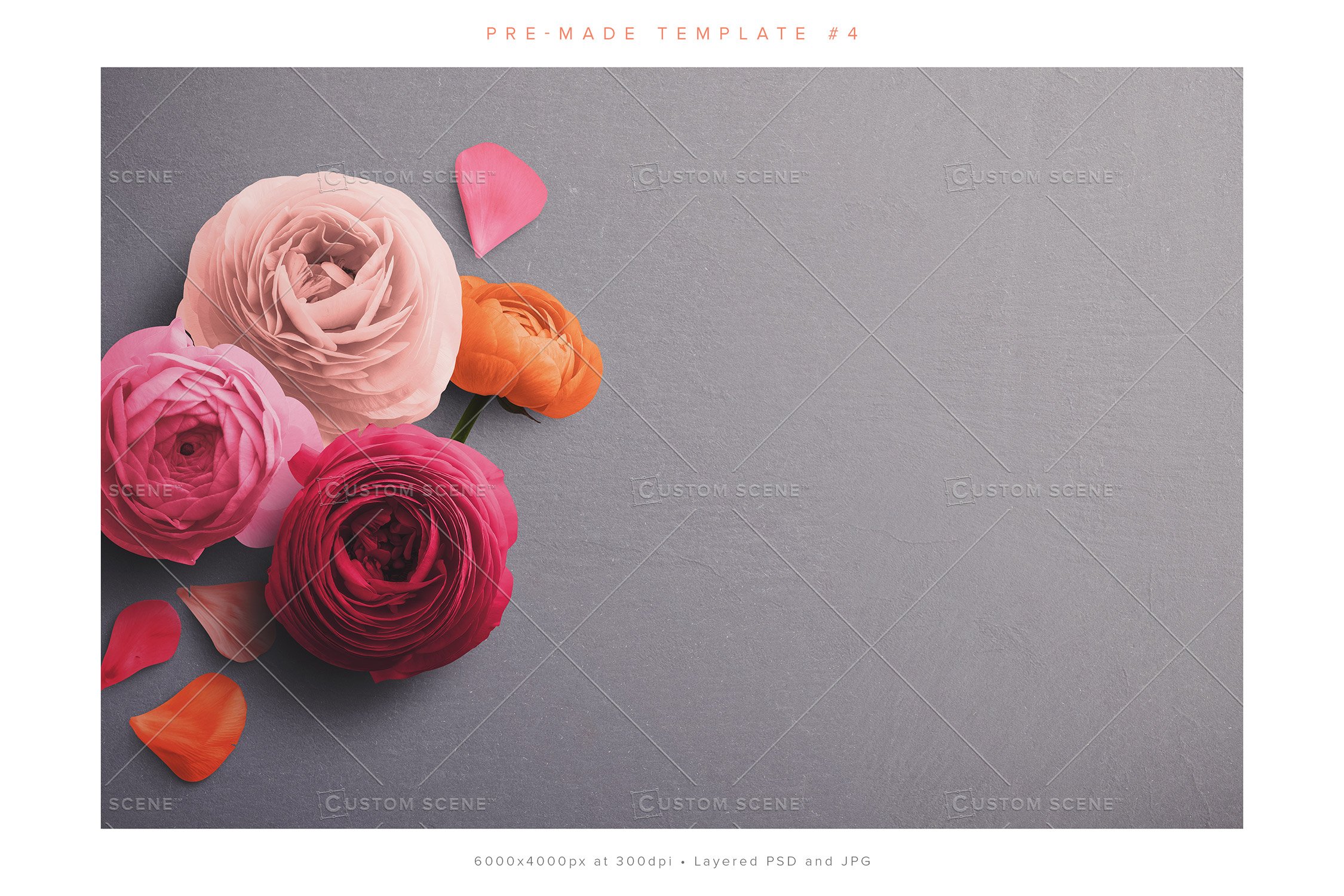 ranunculus scene creator customscene preview 4 58