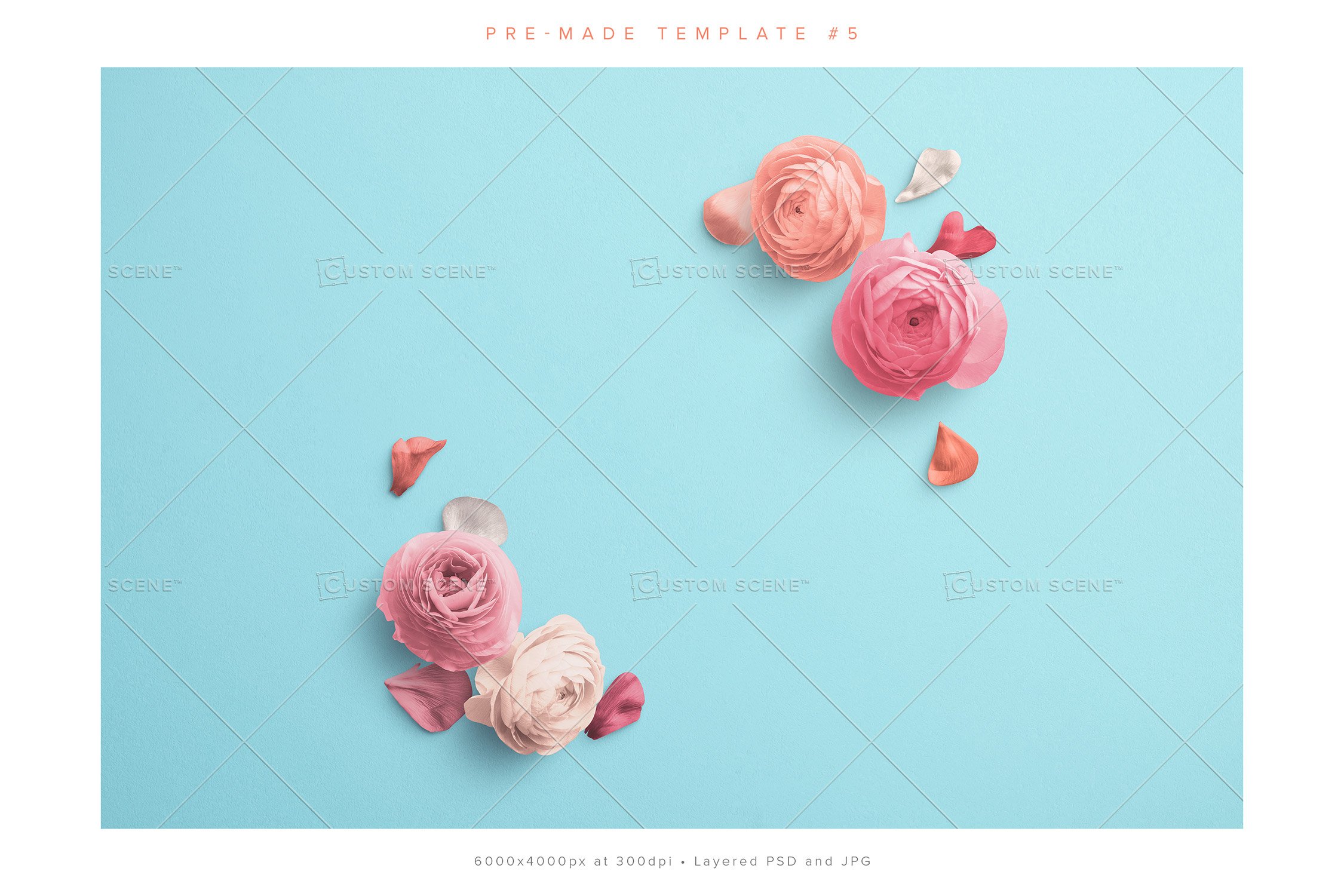 ranunculus scene creator customscene preview 5 23