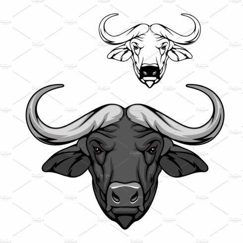 Buffalo bull head icon, mascot cover image.