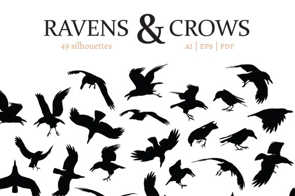 Ravens & Crows cover image.