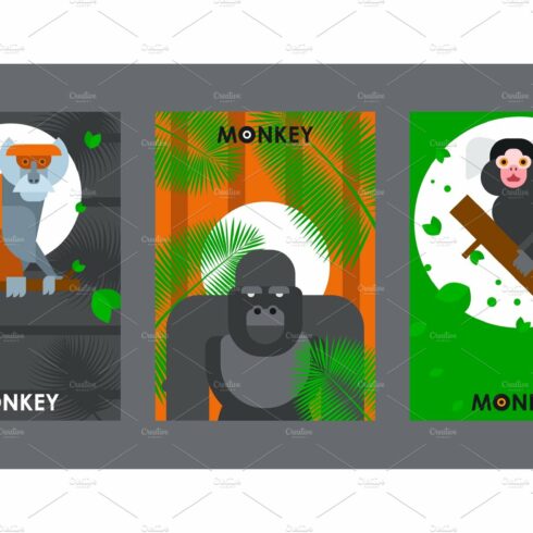 Apes and monkeys in flat style cover image.