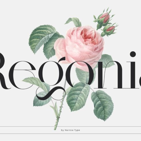 Regonia Display Serif Typeface cover image.