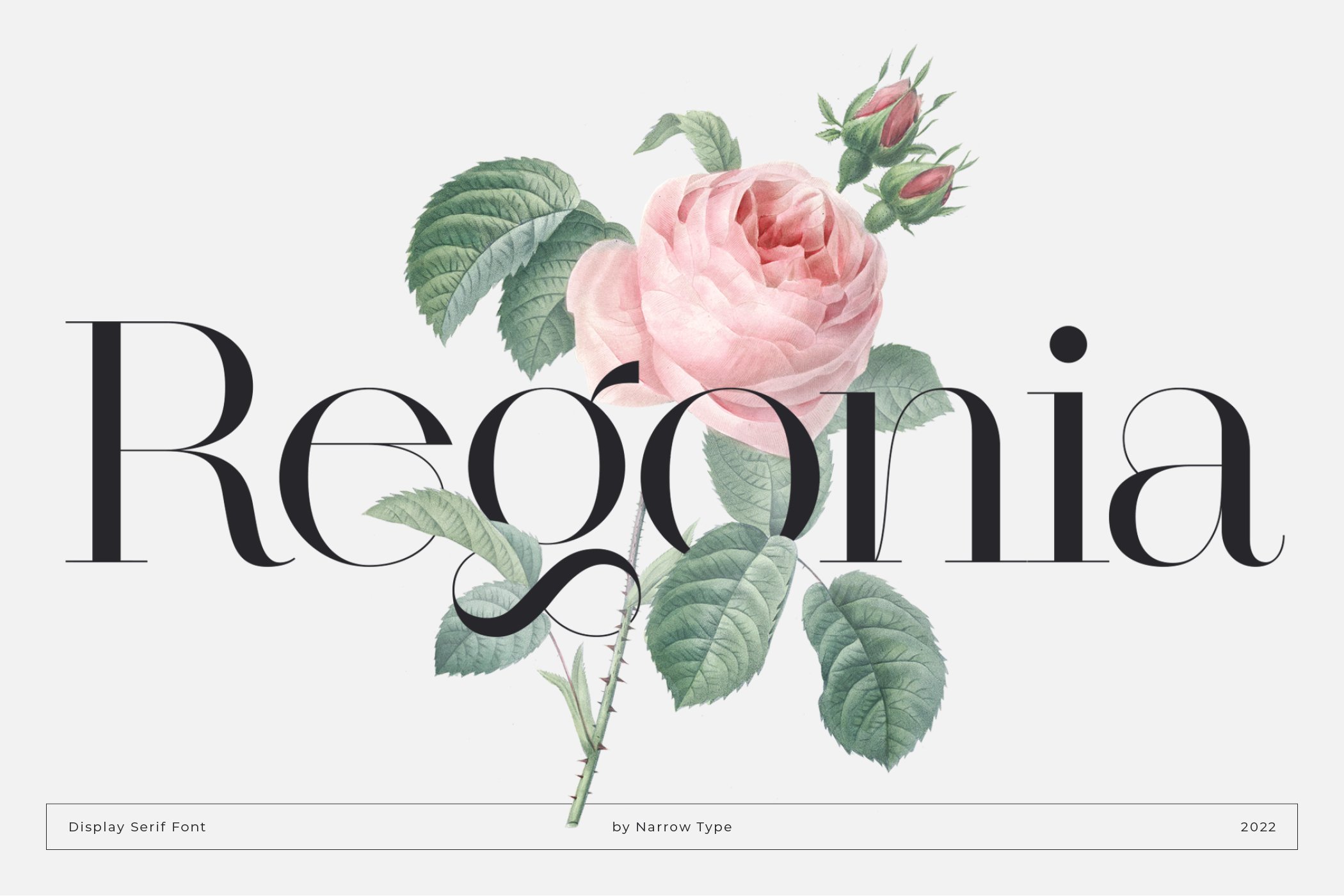 Regonia Display Serif Typeface cover image.