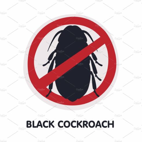 Black Cockroach Harmful Insect cover image.