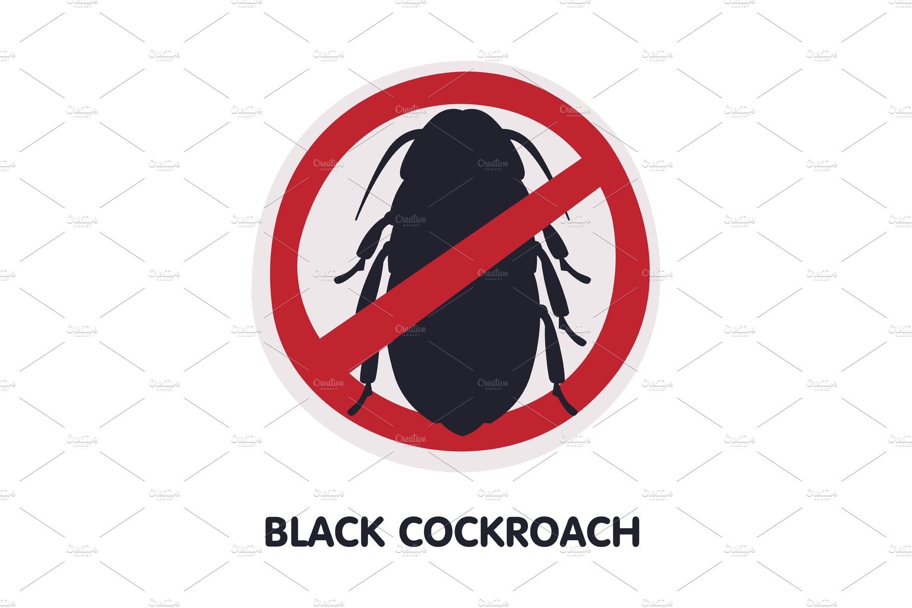 Black Cockroach Harmful Insect cover image.