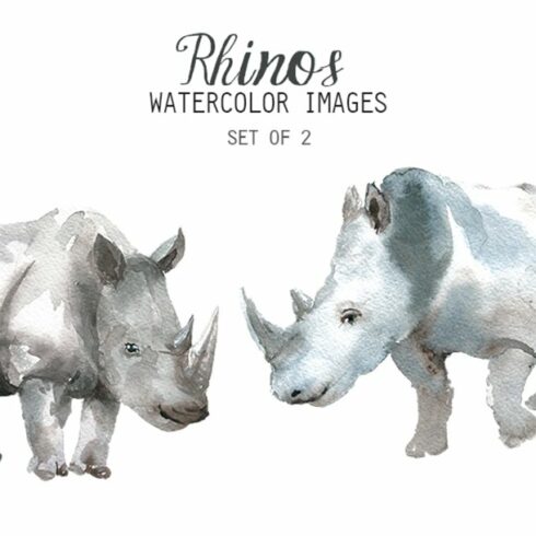Watercolor Rhino Clipart cover image.