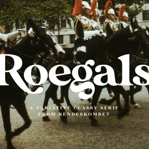 Roegals - A Variative Classy Serif cover image.