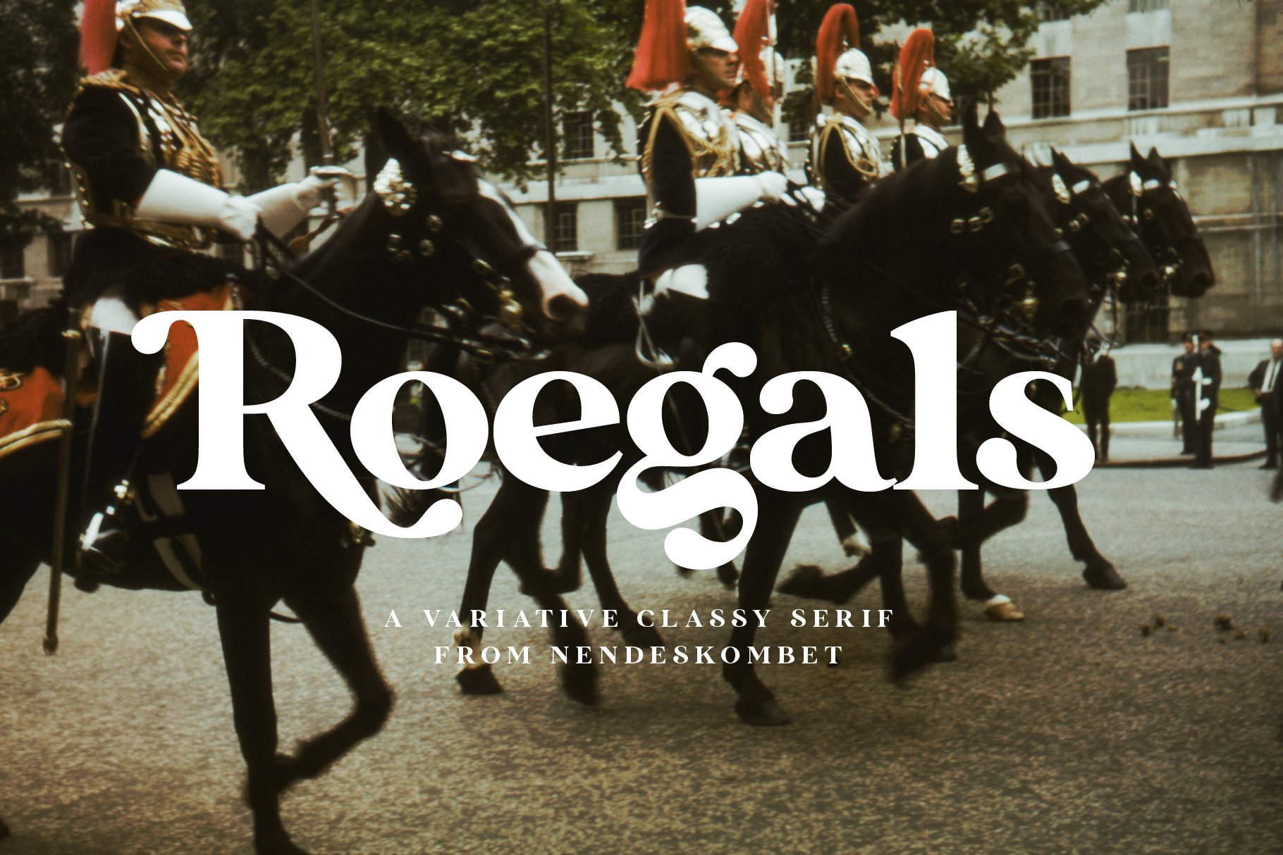Roegals - A Variative Classy Serif cover image.