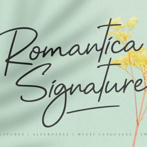 Romantika Signature | Script cover image.