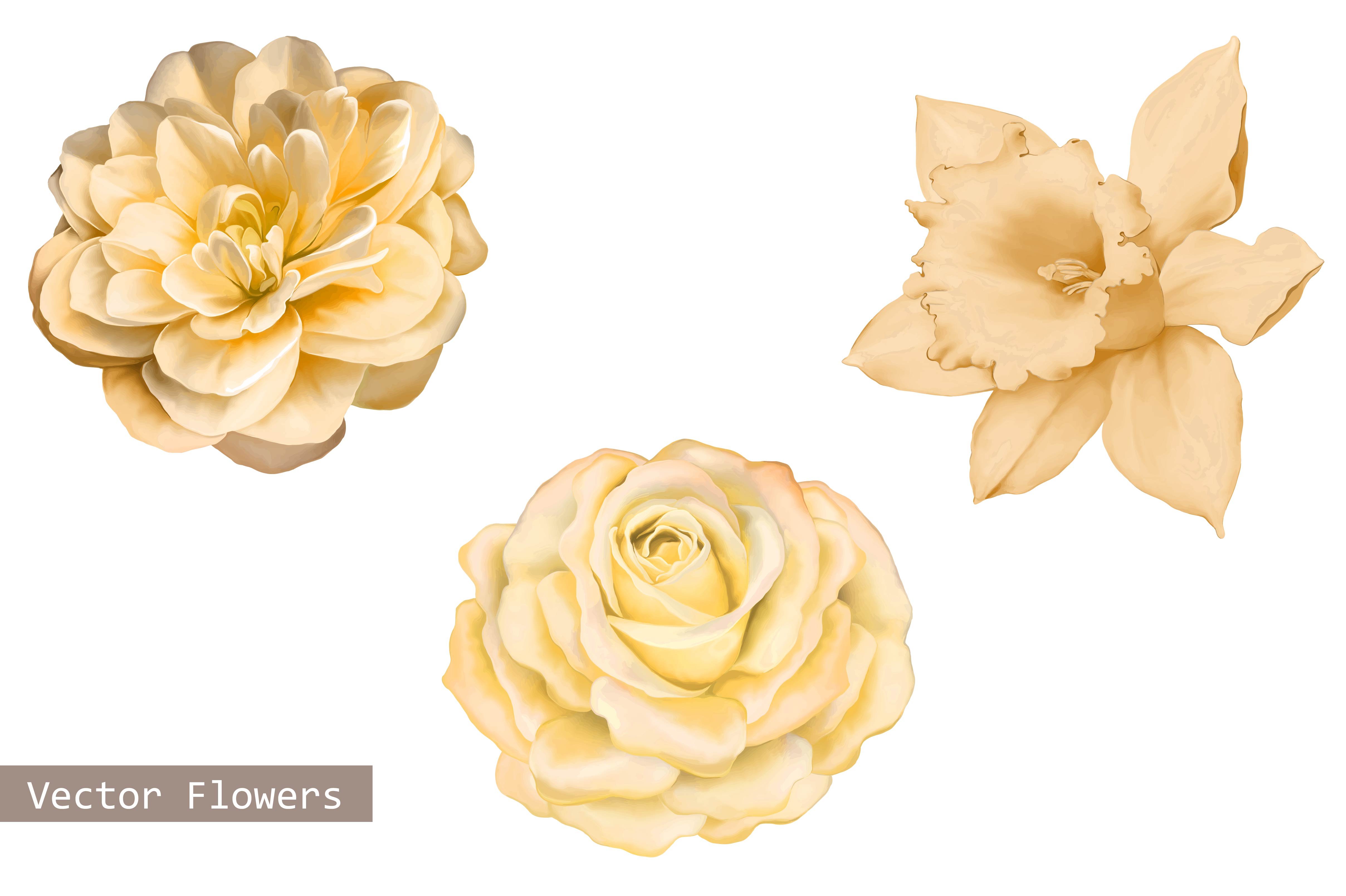 Yellow Camellia, Rose,Daffodil cover image.