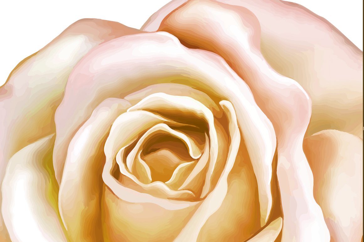 Yellow Camellia, Rose,Daffodil preview image.