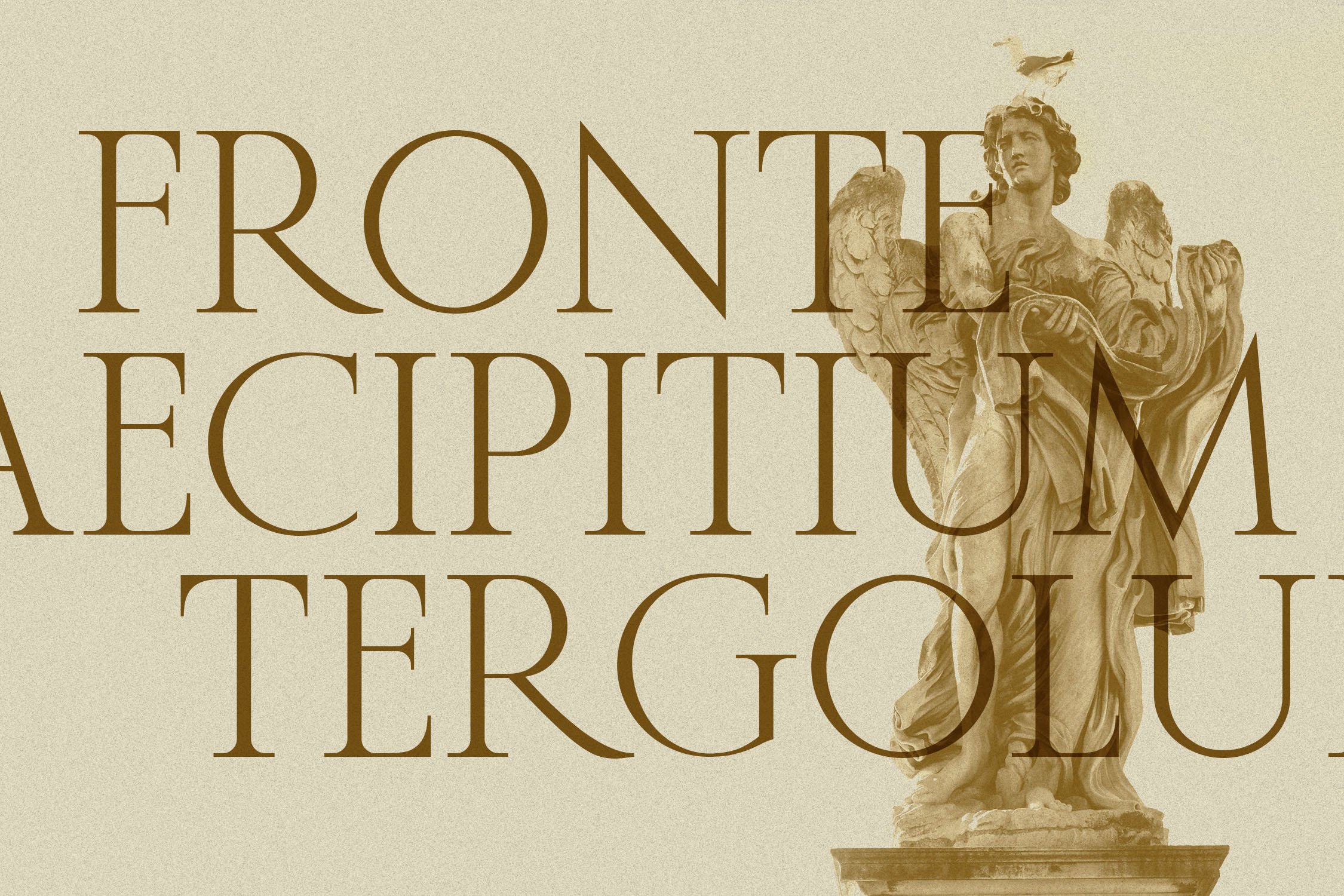 Rosemode - Roman Serif preview image.