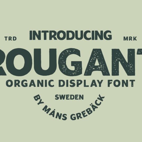 Rougant — Tough Sans-Serif Font cover image.
