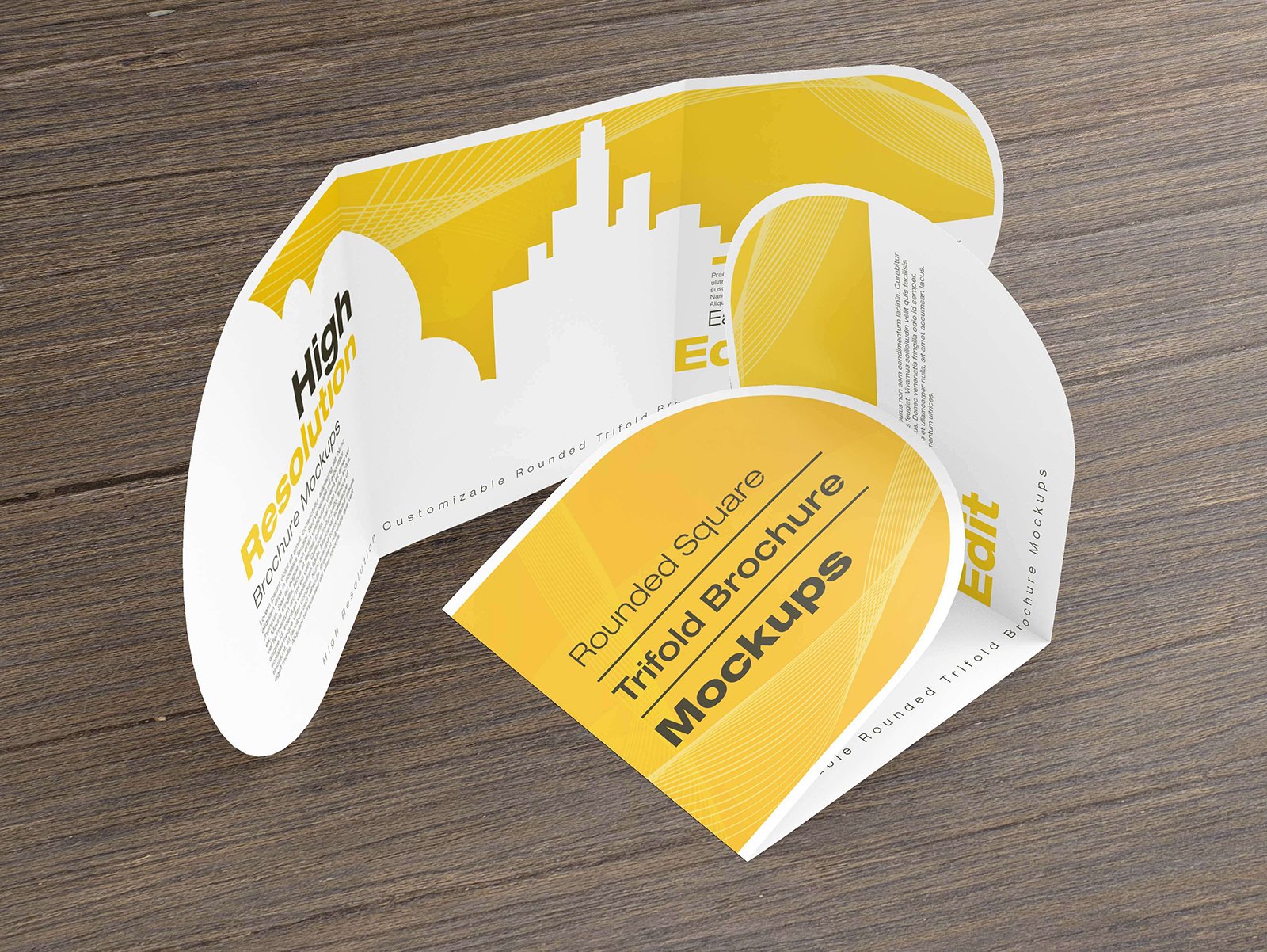 Rounded Square Tri-Fold Mockups cover image.