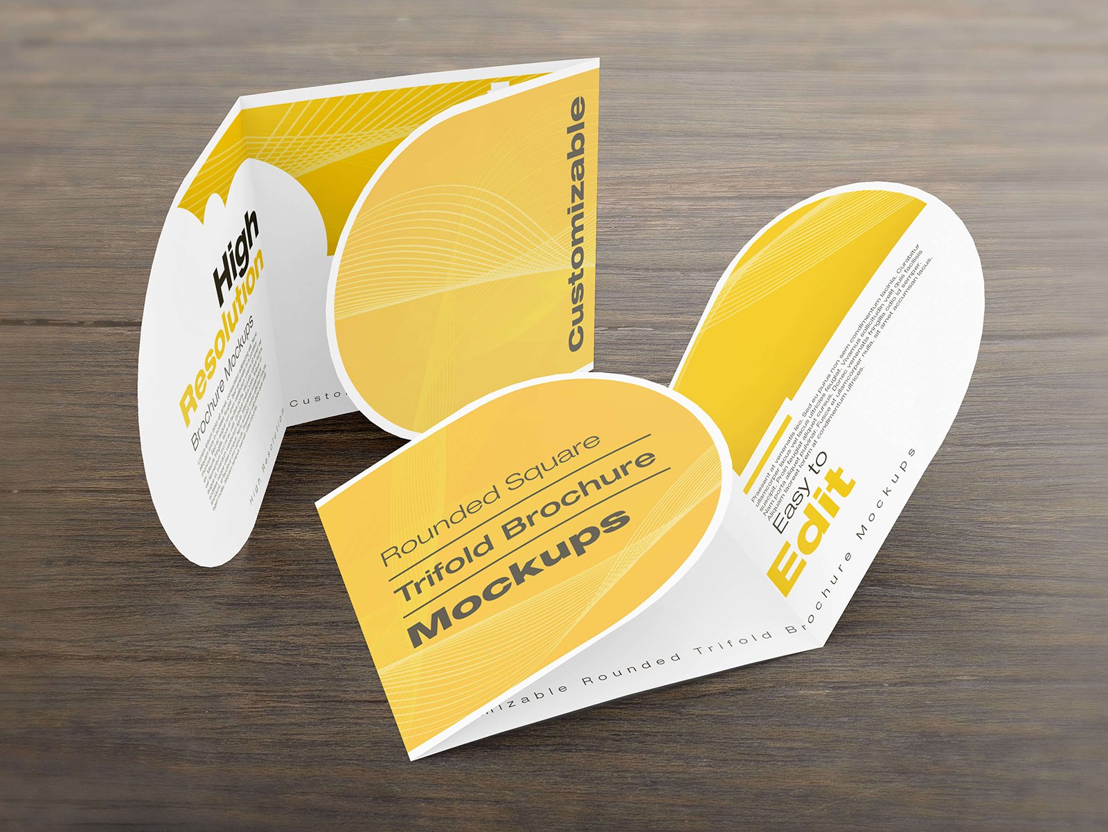 rounded square tri fold brochure mockups 03 659