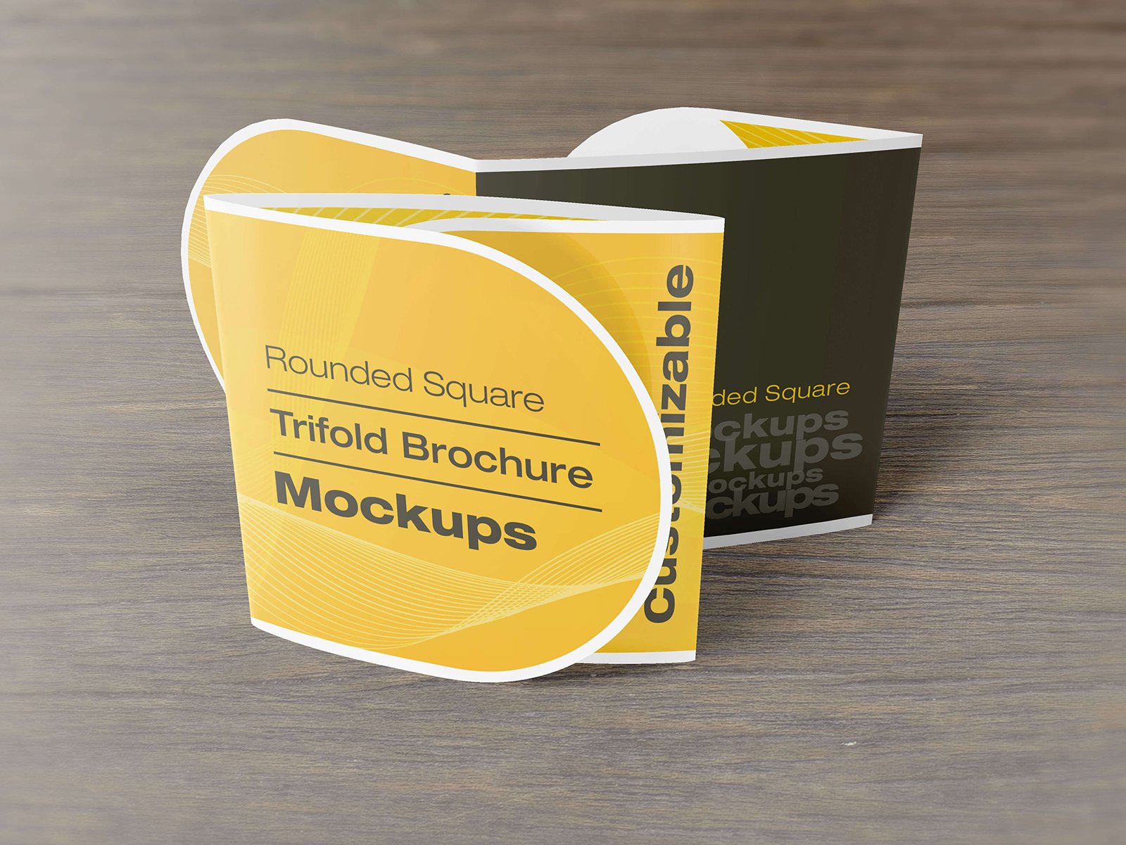 rounded square tri fold brochure mockups 04 97