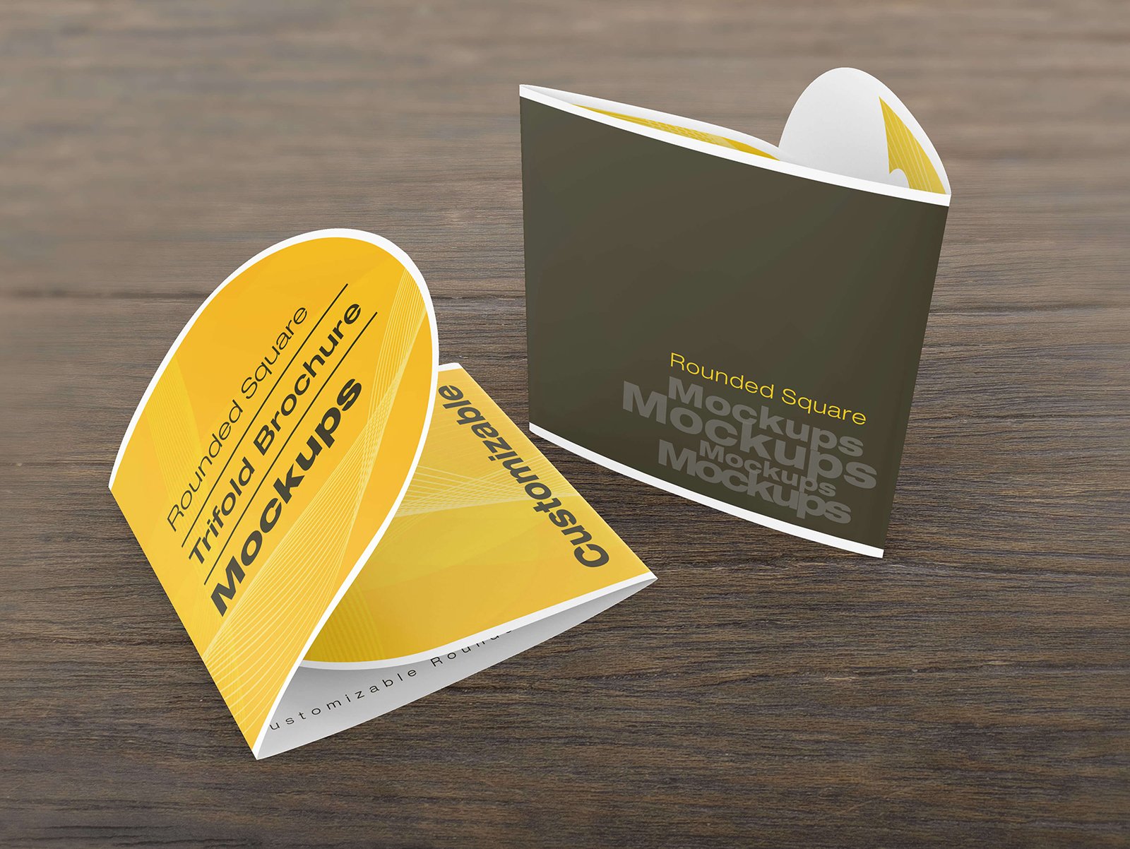 rounded square tri fold brochure mockups 06 137