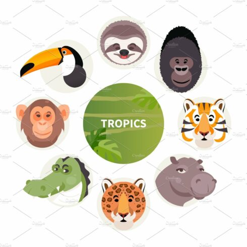 Cartoon animals of the tropics cover image.