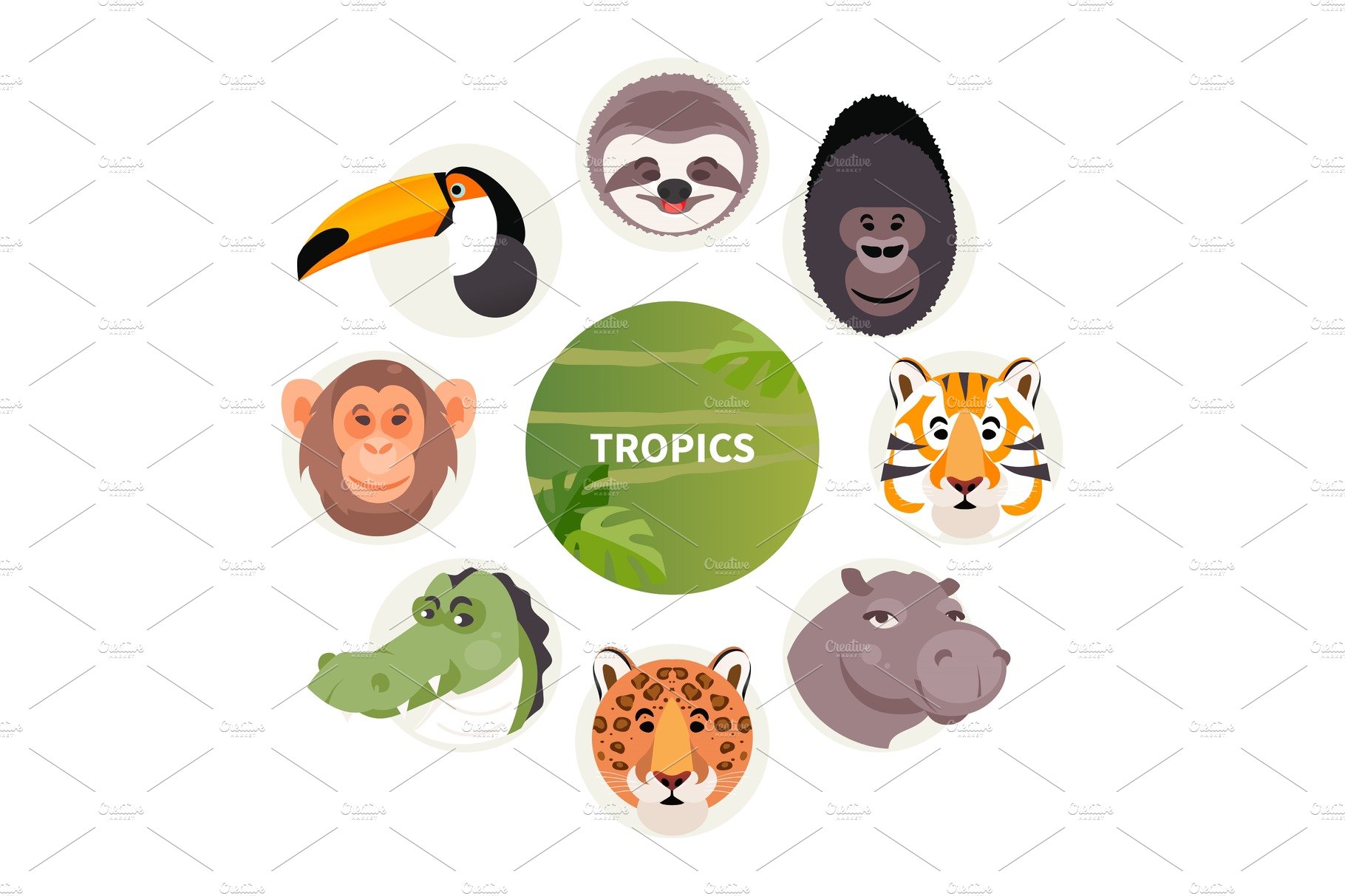 Cartoon animals of the tropics cover image.