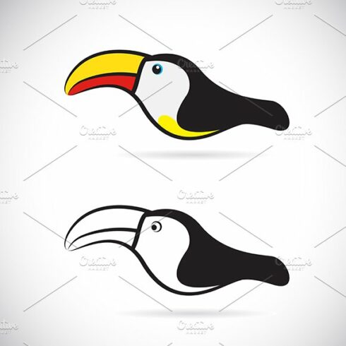 Vector of hornbills. Bird. cover image.