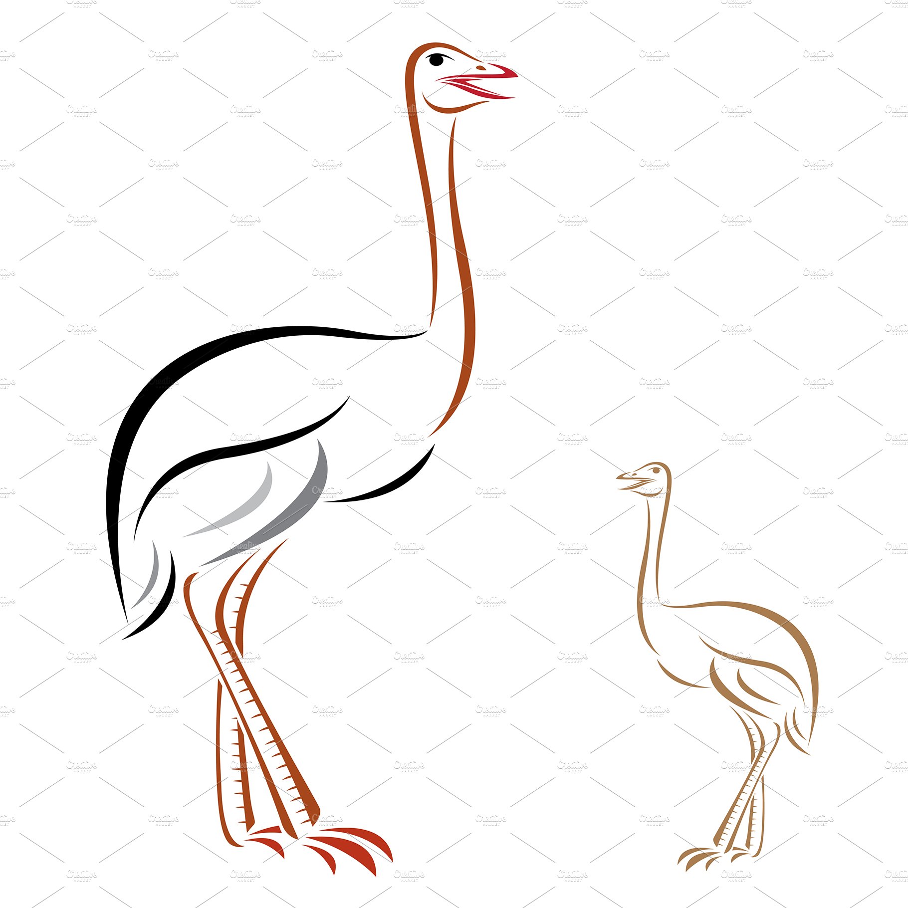 Vector of an ostrich. Farm Animal. cover image.