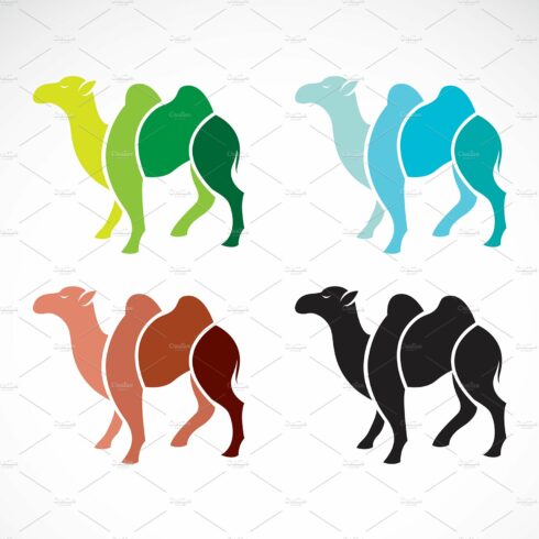 Vector of camel design. Animals. cover image.