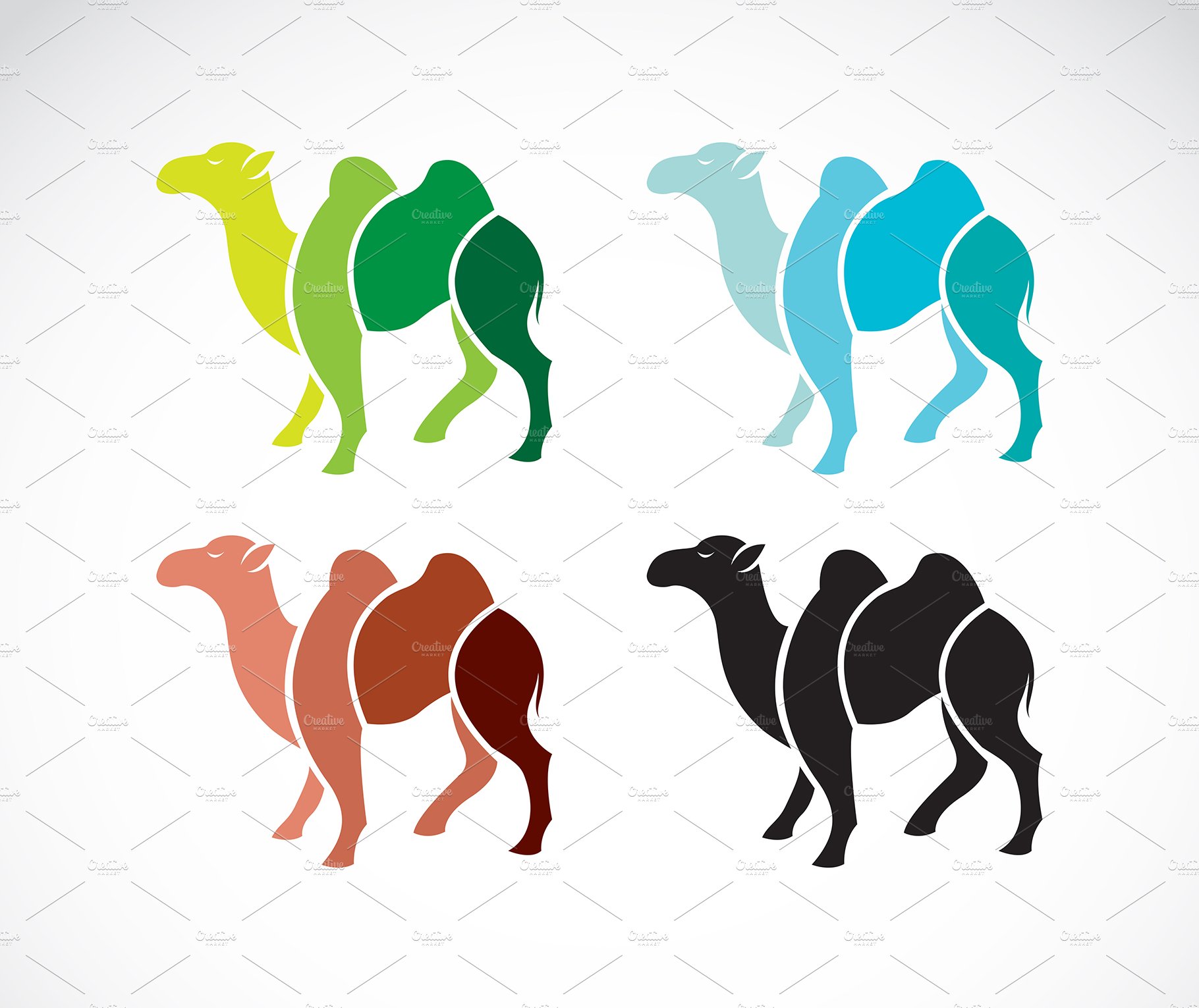 Vector of camel design. Animals. cover image.