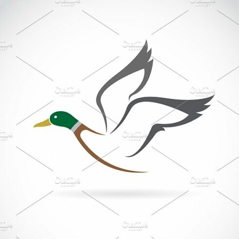 Flying wild duck design. cover image.