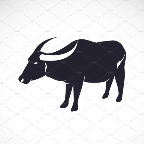 Vector of buffalo on white backgroun cover image.