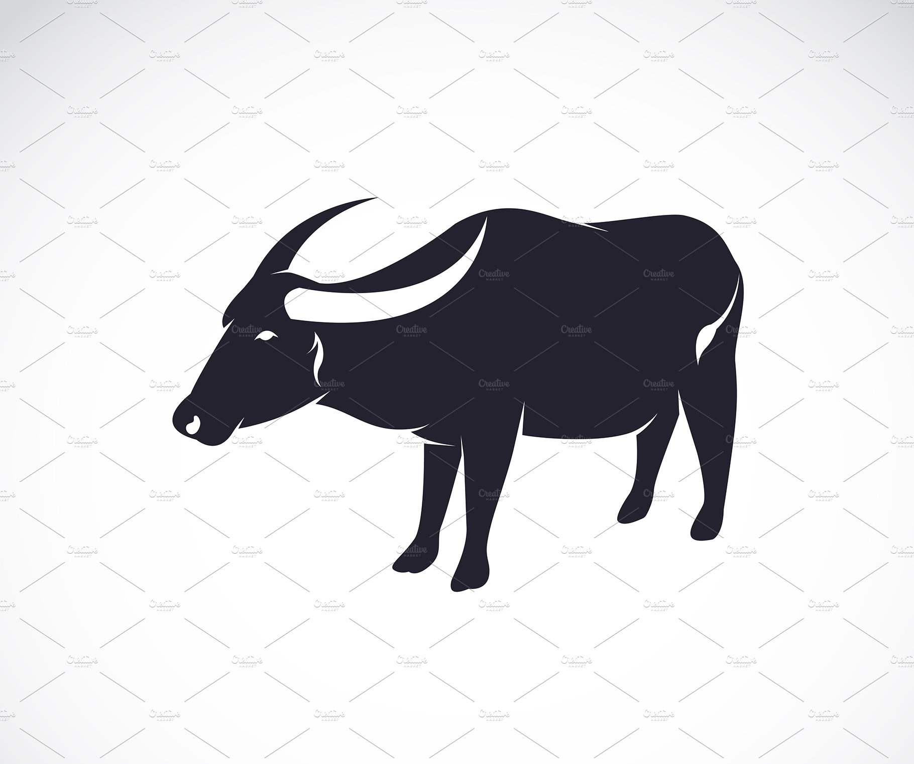 Vector of buffalo on white backgroun cover image.