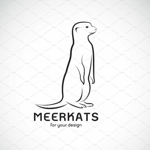 Vector of meerkats design. Animals. cover image.