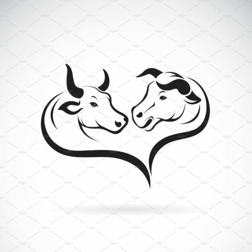 Vector of two bull head design. cover image.