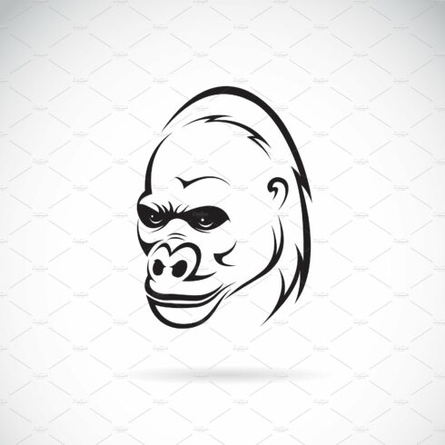 Vector of gorilla head design.Animal cover image.