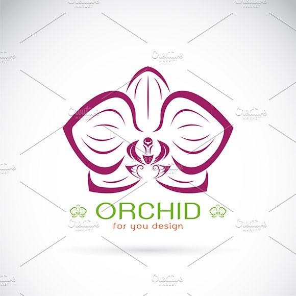 Vector of an Orchid logo. cover image.